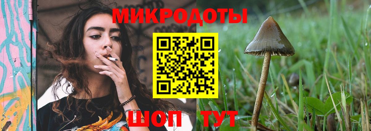 Красноармейск  Галлюциногенные грибы Psilocybe  Вход с VPN 
